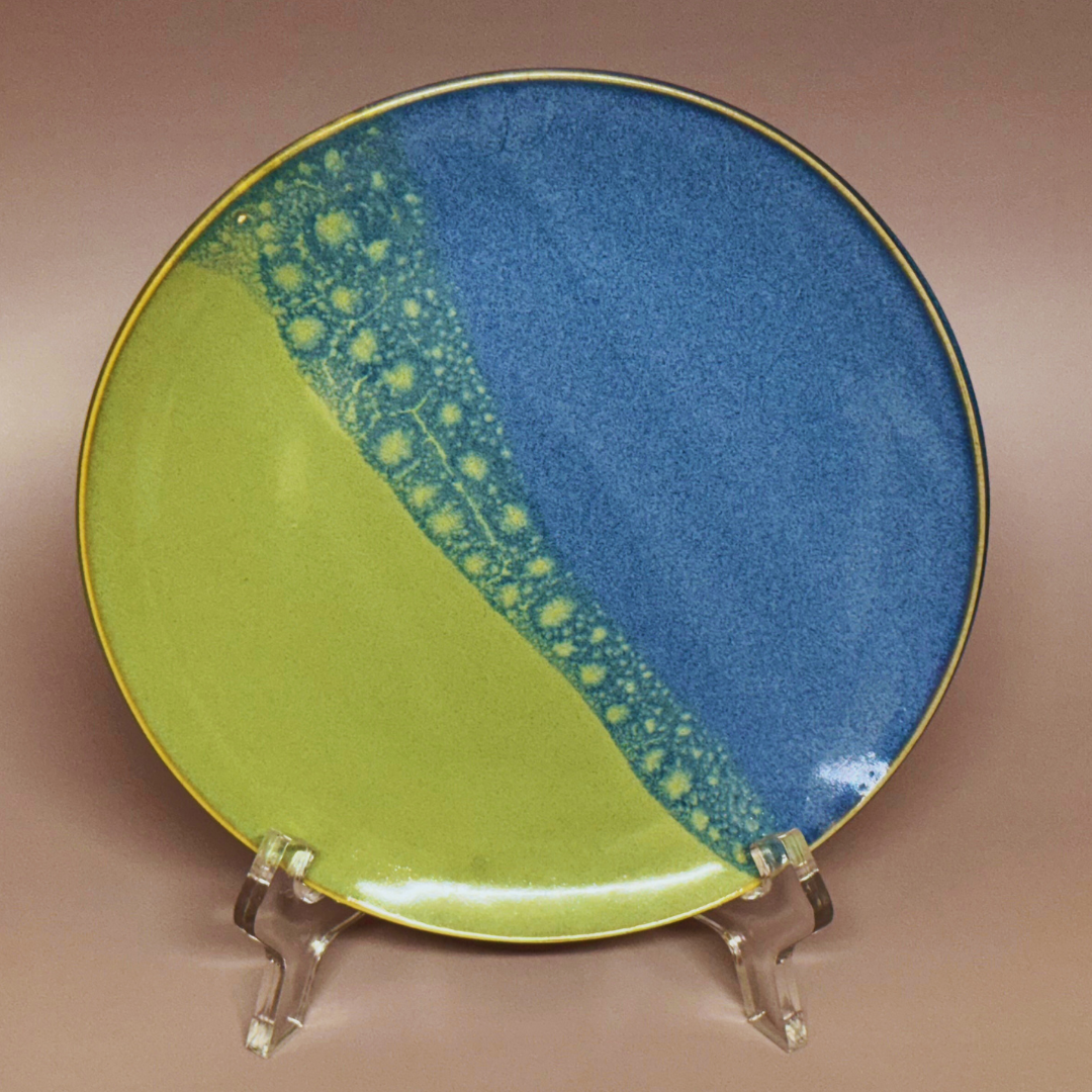 Dinner plate